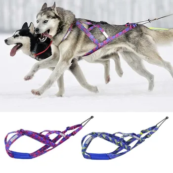 Зимна колани за каране на шейна куче Здрава Система за пренасяне на домашни любимци, Отразяваща Тренировъчен Жилетка, Регулируеми За кучета със средни размери, Каране на ски