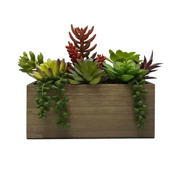 Изкуствени смесени суккулентные растения в кафяв дървена кутия